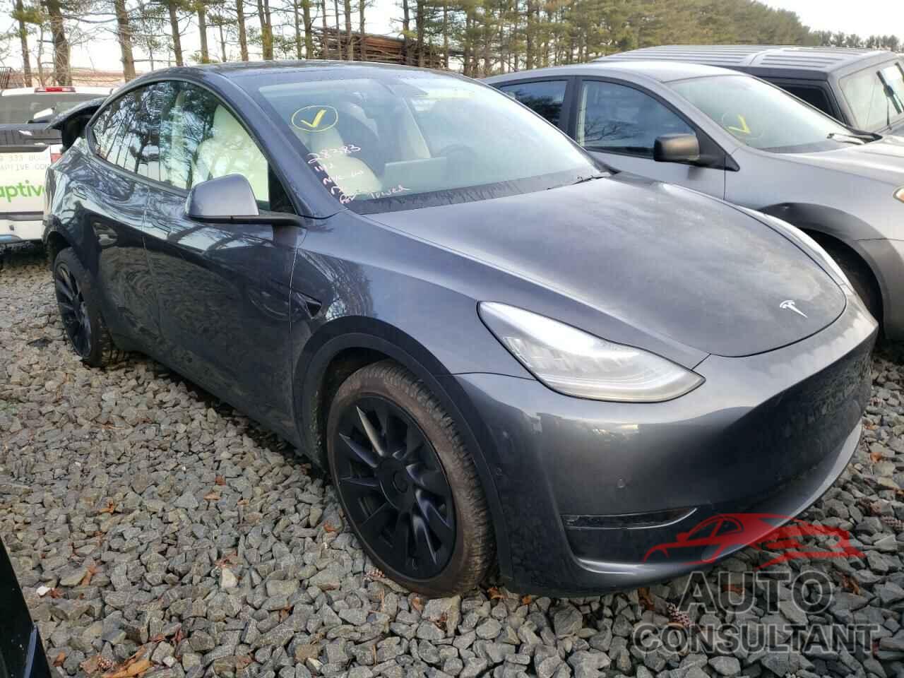 TESLA MODEL Y 2021 - 5YJYGDEE0MF210504