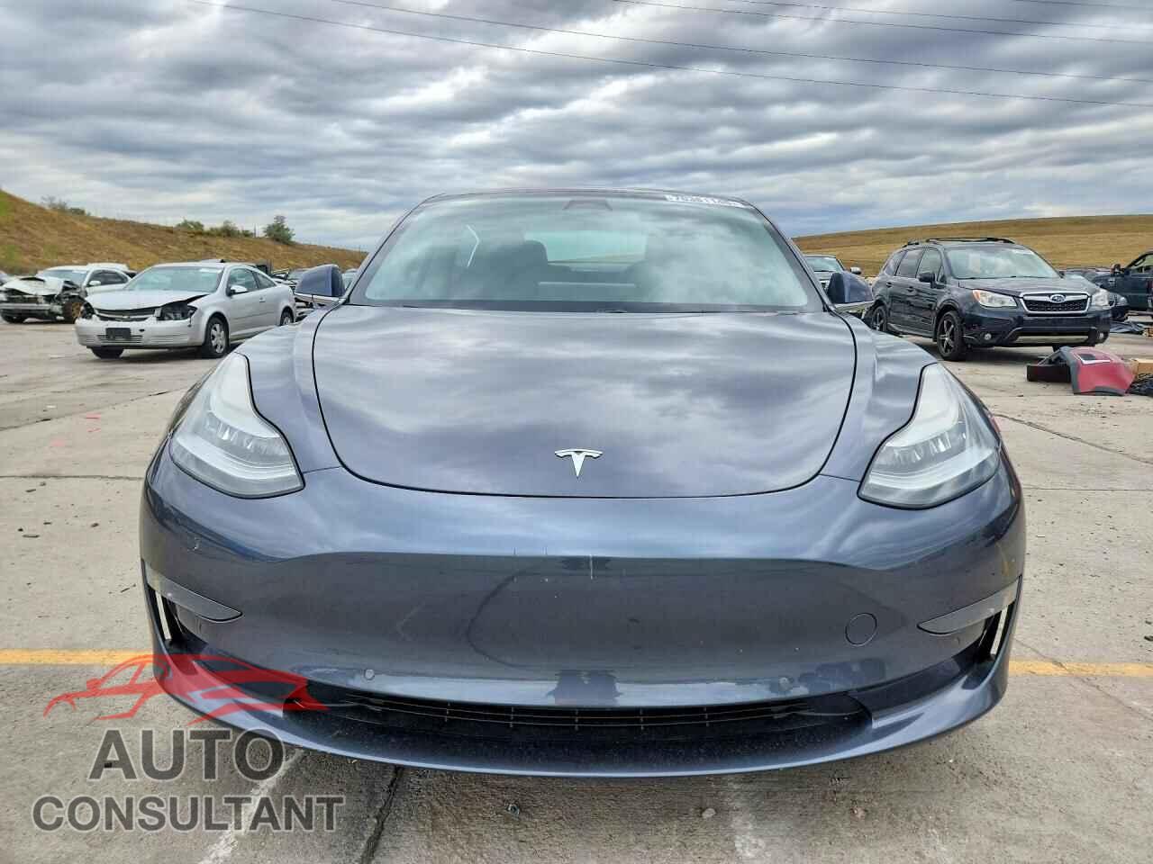 TESLA MODEL 3 2019 - 5YJ3E1EA5KF434344
