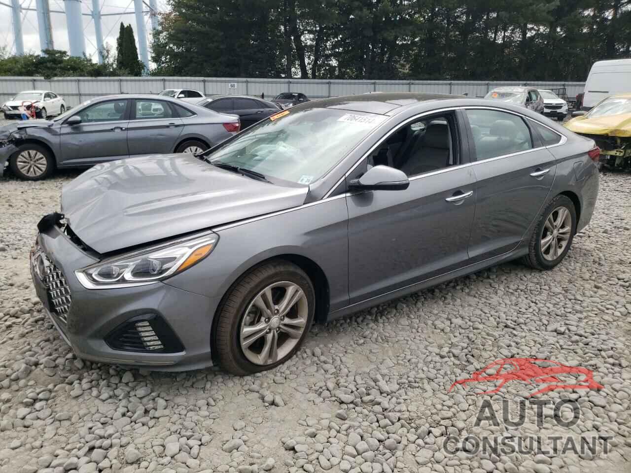 HYUNDAI SONATA 2019 - 5NPE34AF1KH815823