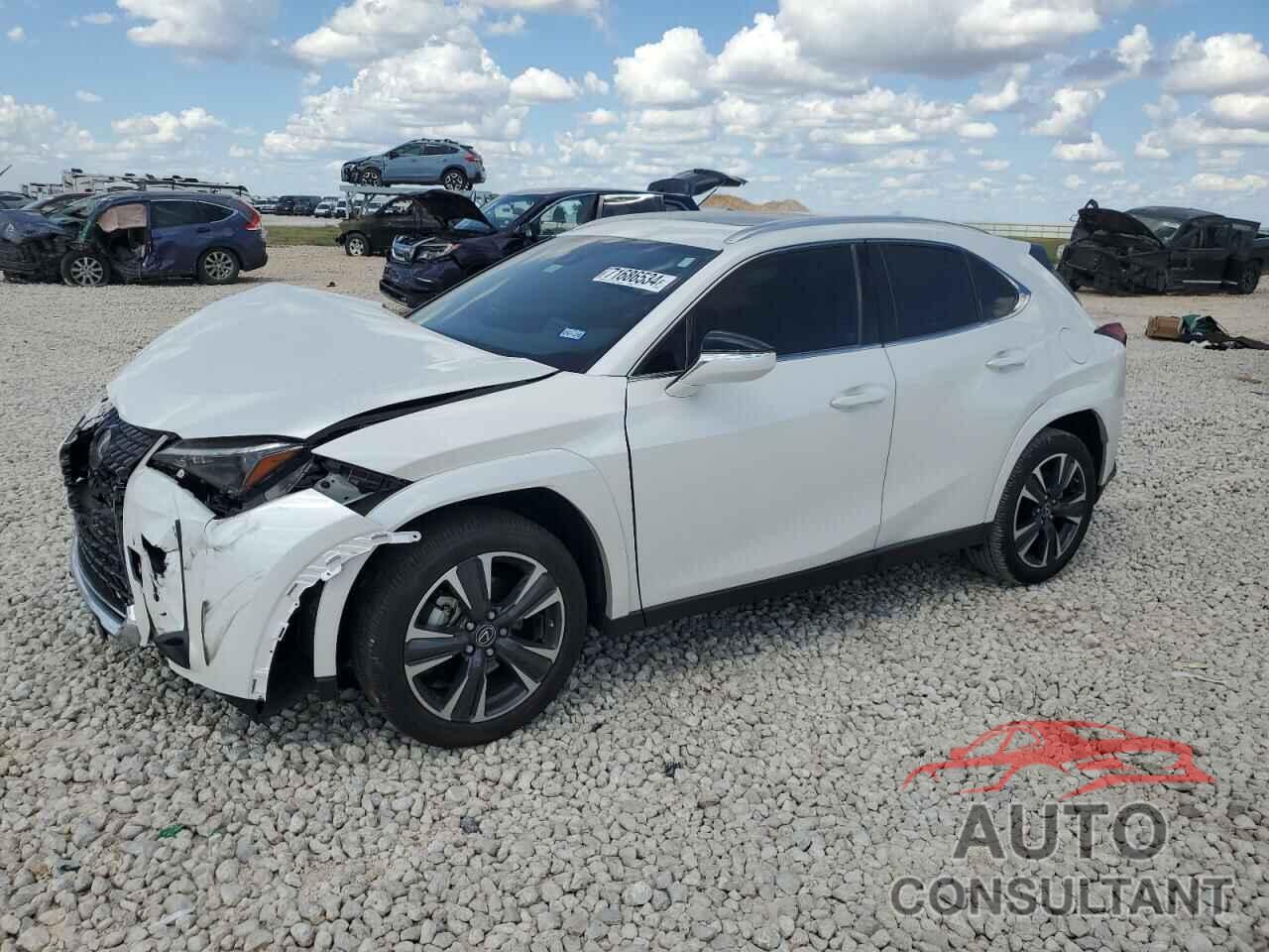 LEXUS UX 250H PR 2024 - JTHP6JBH9R2190368