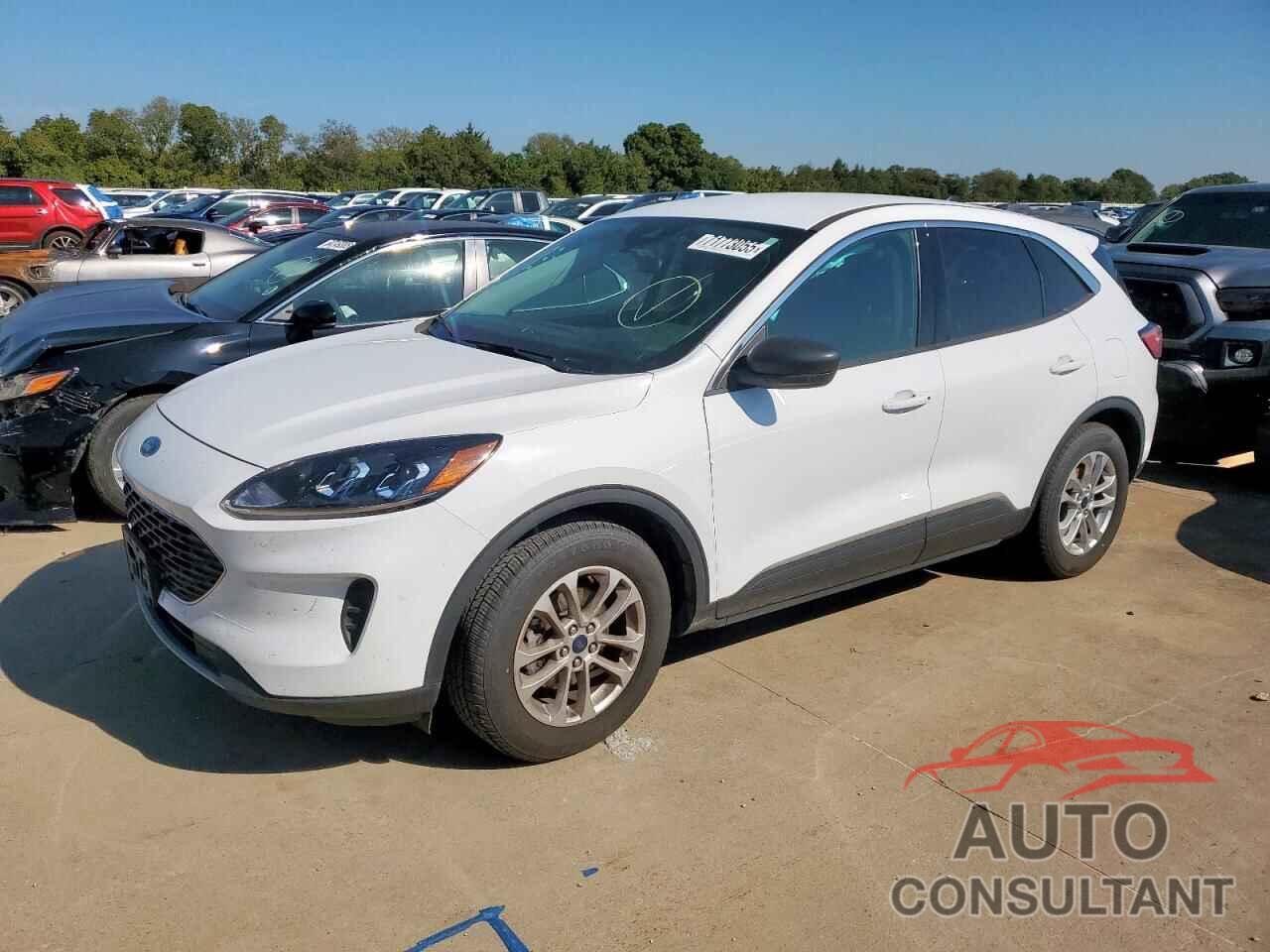 FORD ESCAPE 2022 - 1FMCU0G6XNUA52503