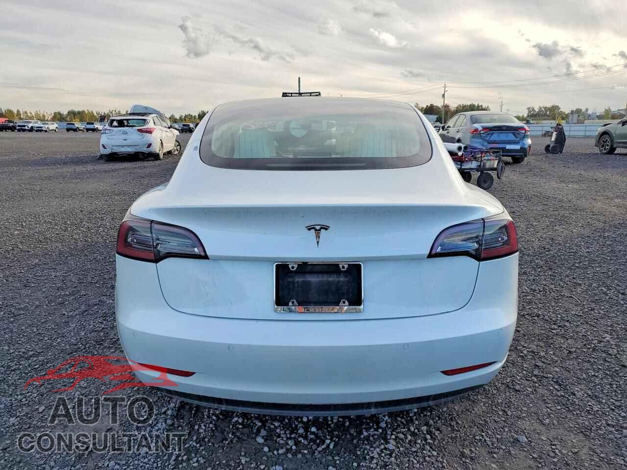 TESLA MODEL 3 2020 - 5YJ3E1EA3LF604038