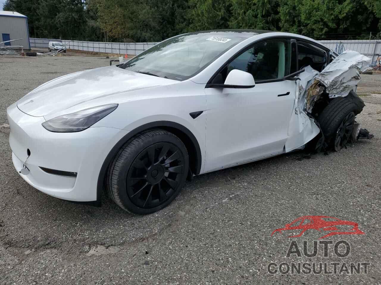 TESLA MODEL Y 2024 - 7SAYGDEE1RF083241