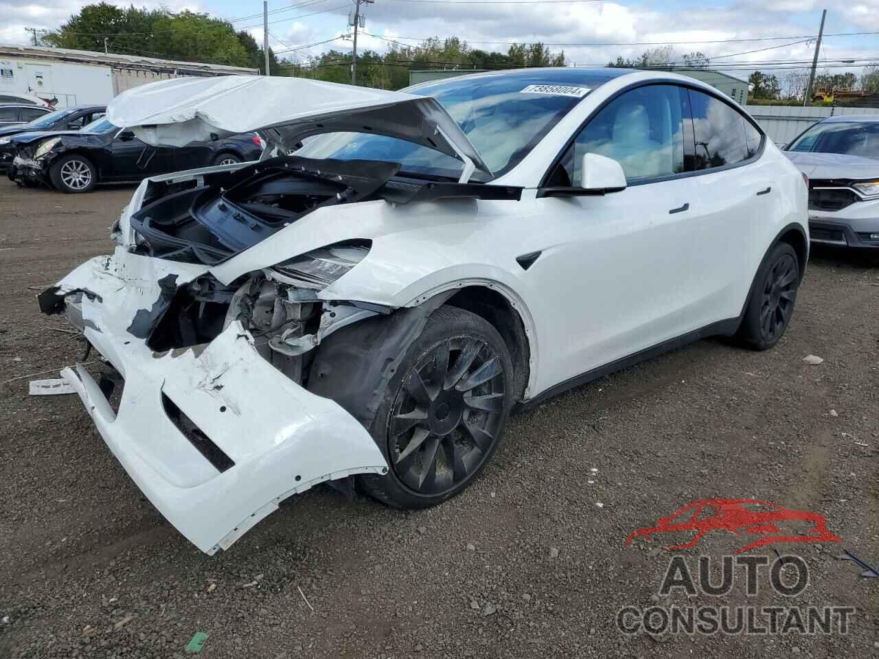 TESLA MODEL Y 2020 - 5YJYGDEEXLF042983