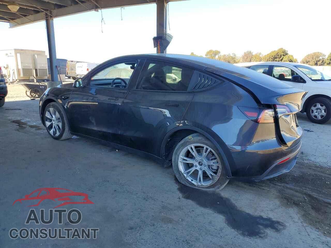 TESLA MODEL Y 2024 - 7SAYGDEE7RF987191