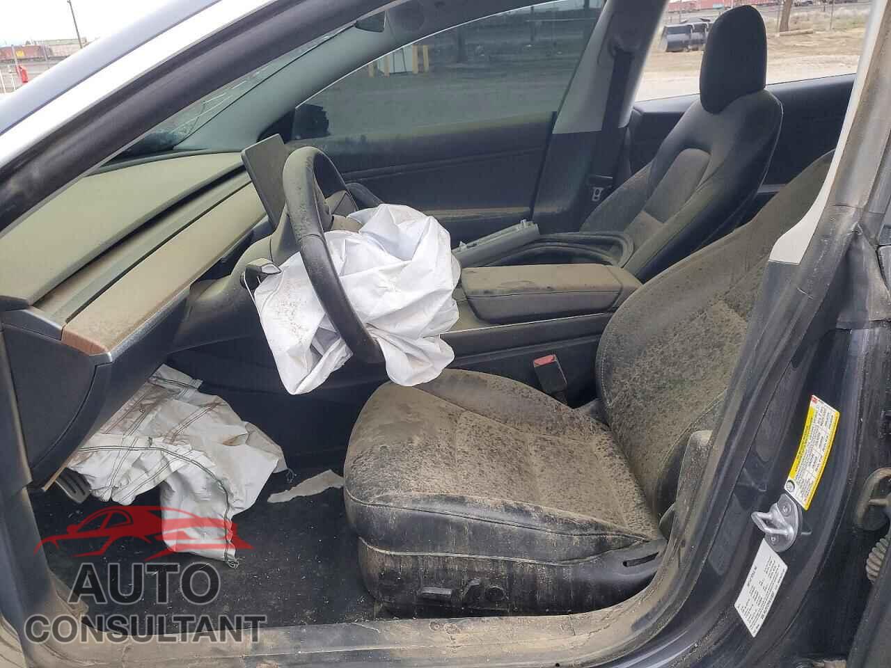 TESLA MODEL 3 2019 - 5YJ3E1EB7KF419837