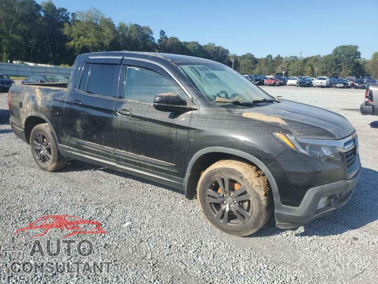 HONDA RIDGELINE 2019 - 5FPYK3F12KB044401