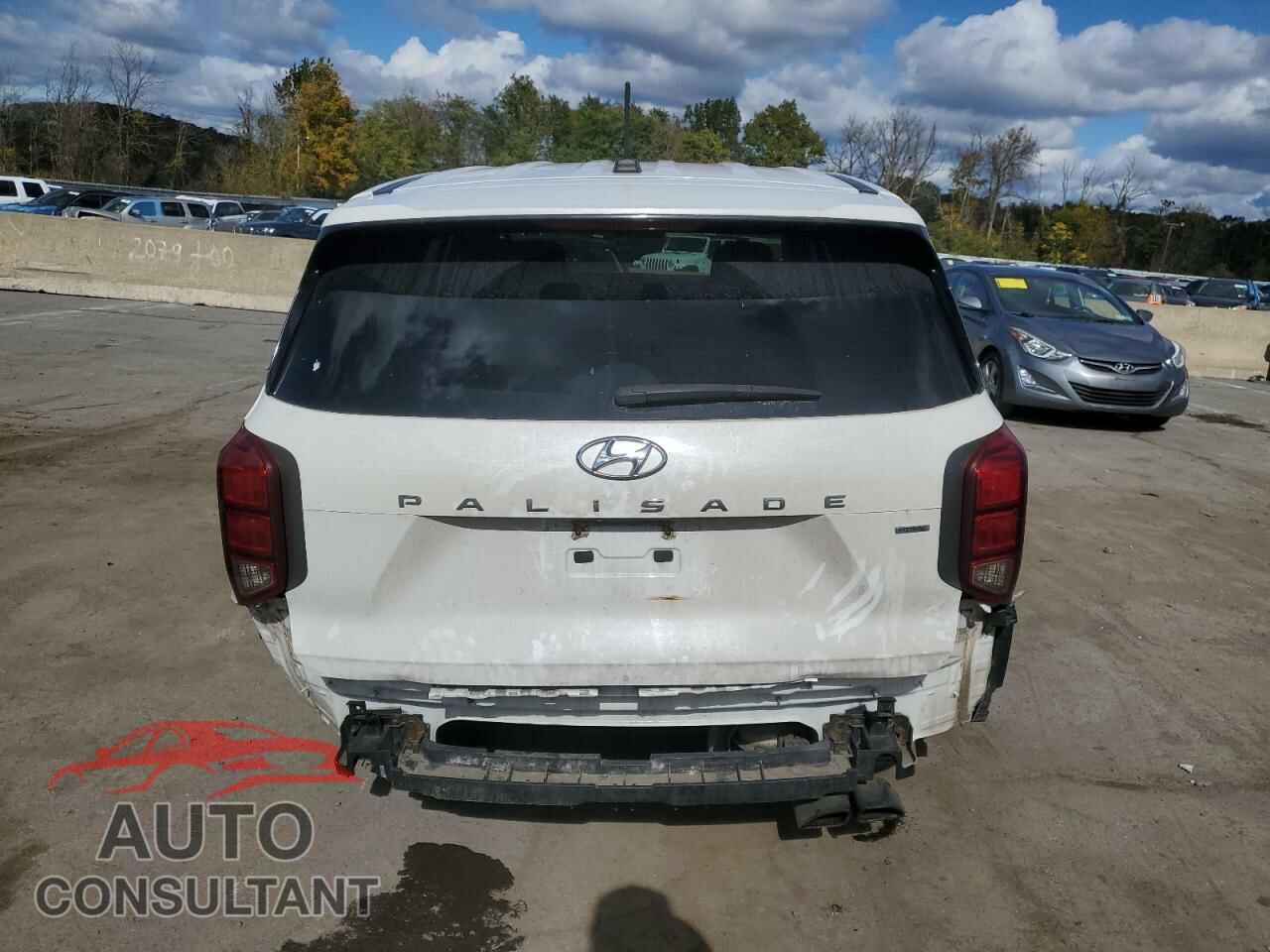 HYUNDAI PALISADE 2020 - KM8R1DHE8LU036720