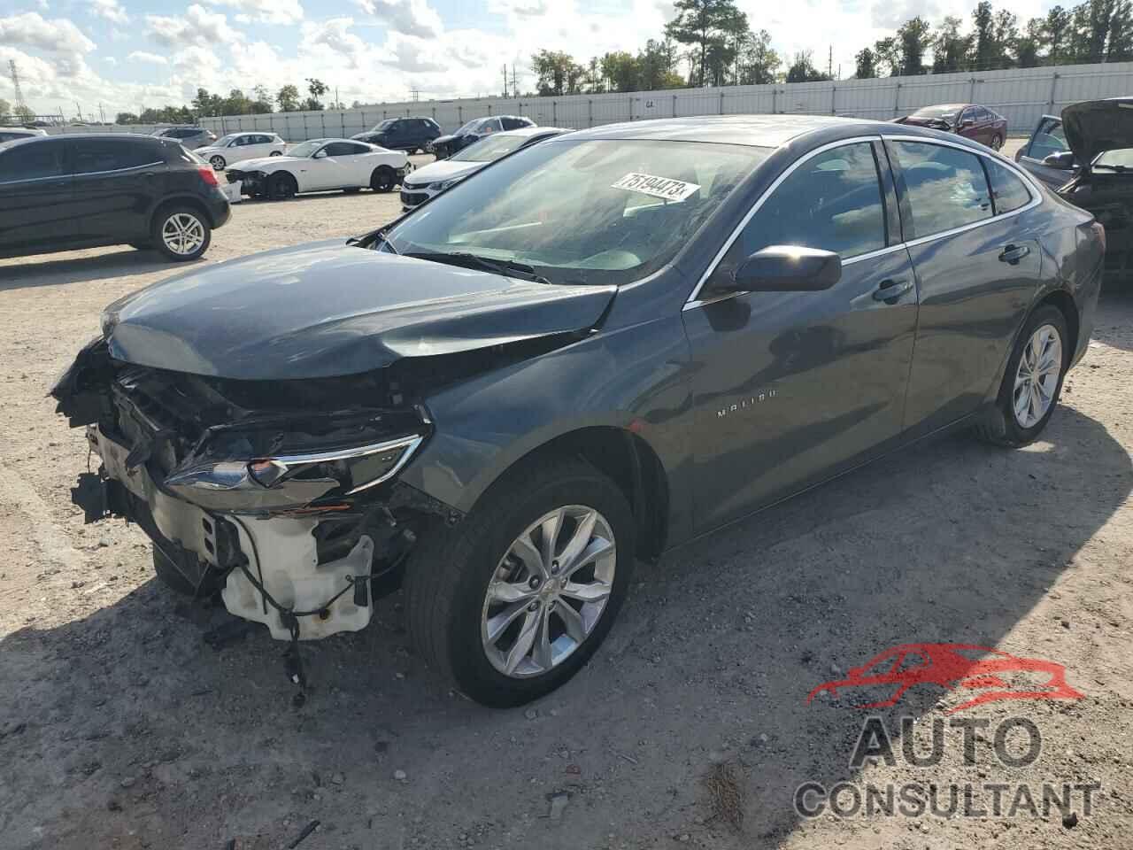 CHEVROLET MALIBU 2019 - 1G1ZD5ST4KF220220