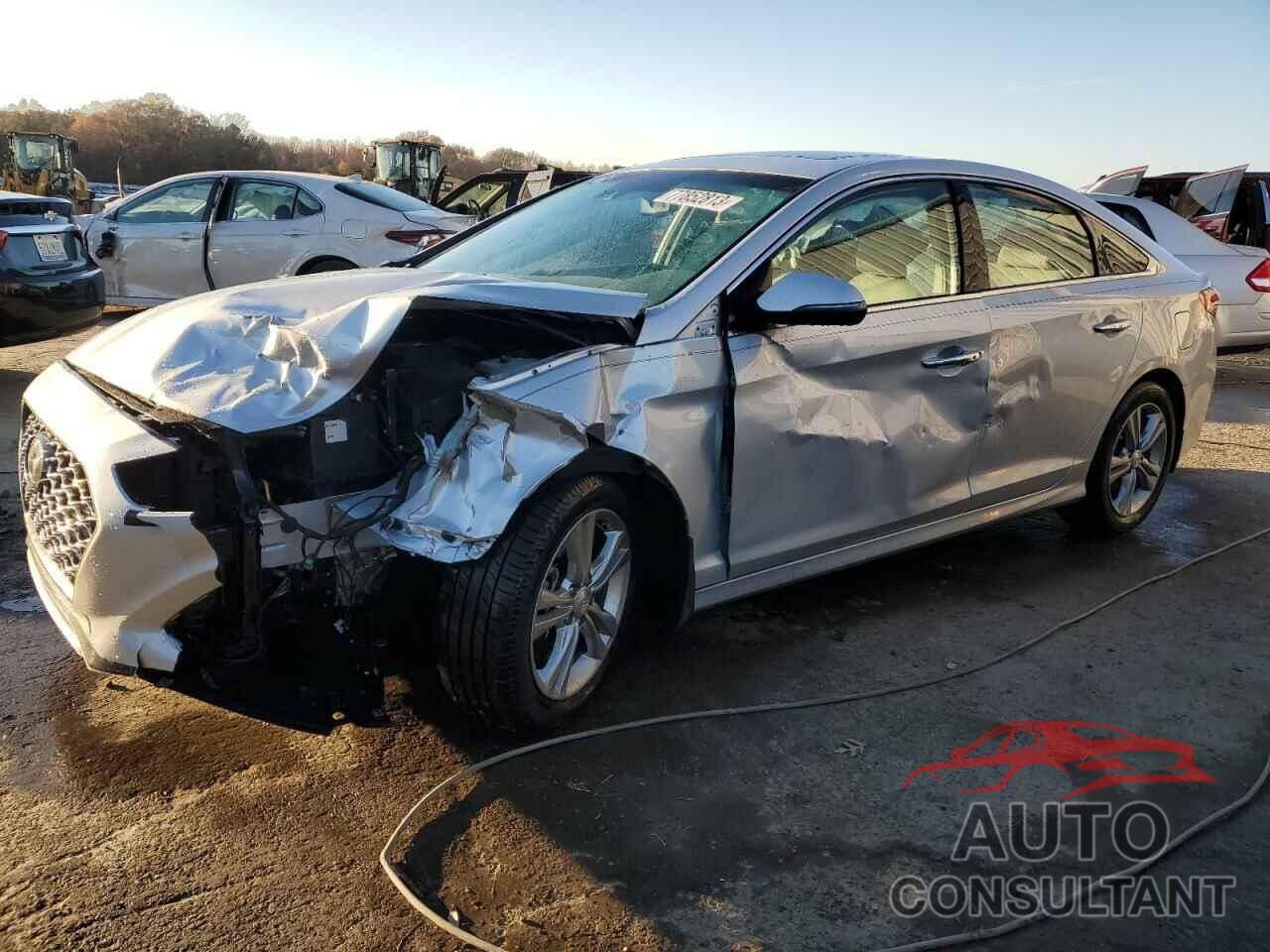 HYUNDAI SONATA 2019 - 5NPE34AF9KH788337