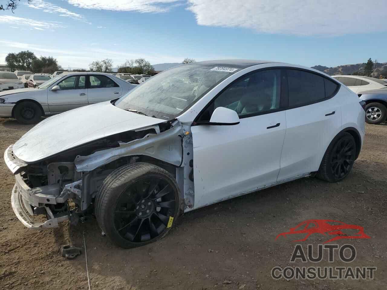 TESLA MODEL Y 2022 - 7SAYGAEE8NF384436