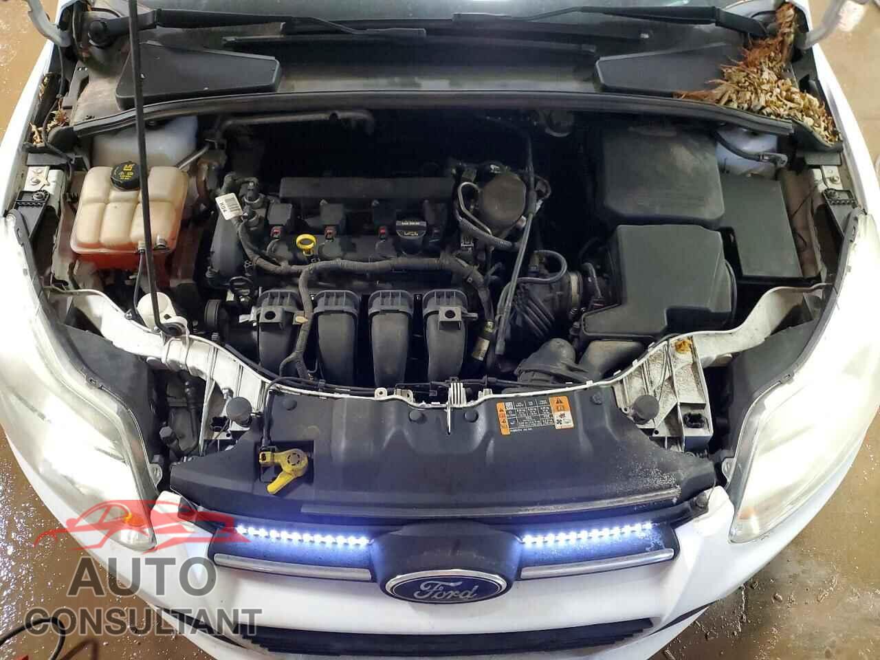 FORD FOCUS 2014 - 1FADP3F29EL345563