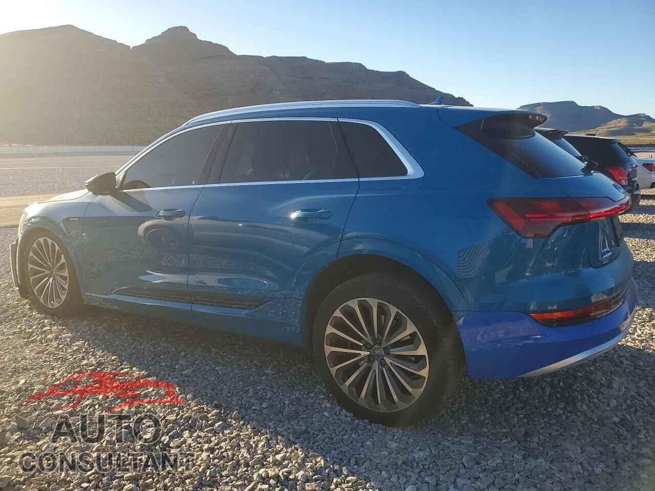 AUDI E-TRON 2019 - WA1VABGE8KB022040