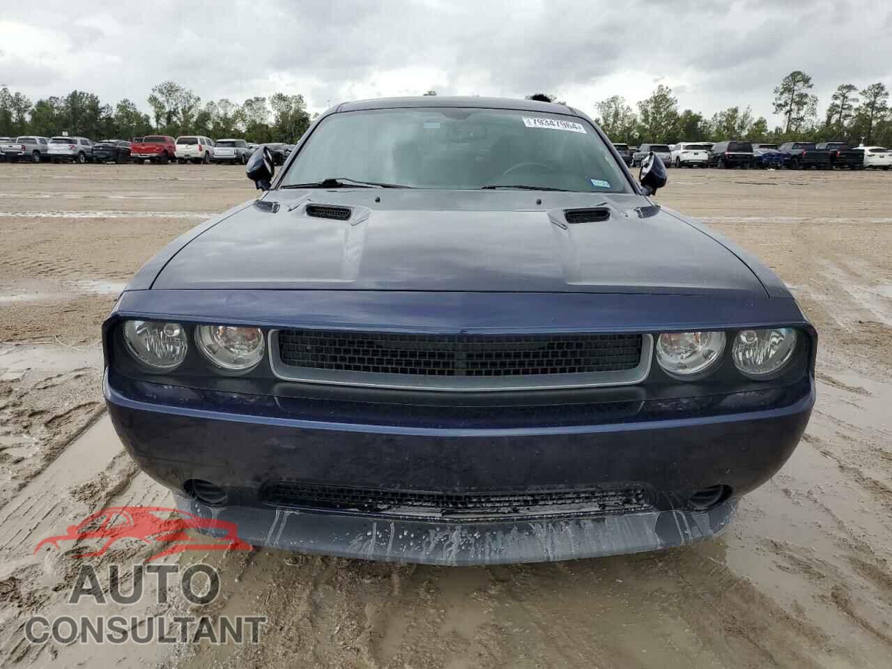 DODGE CHALLENGER 2013 - 2C3CDYAG7DH660084