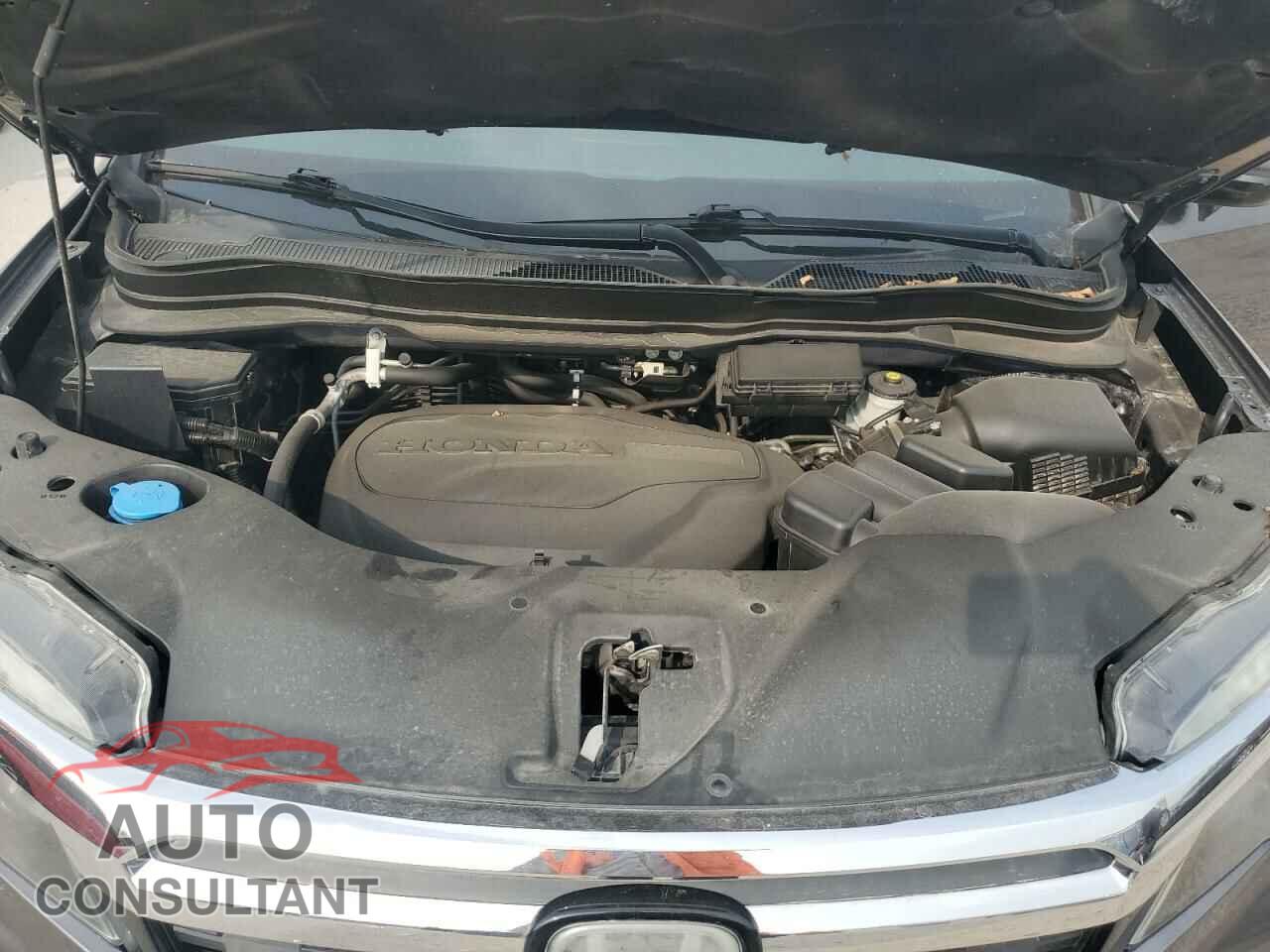 HONDA RIDGELINE 2019 - 5FPYK3F74KB015258