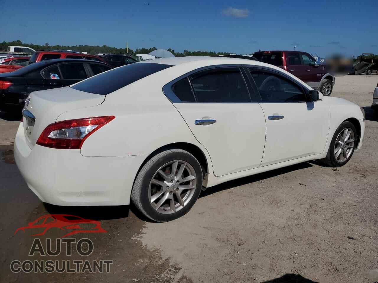 NISSAN MAXIMA 2011 - 1N4AA5AP0BC823402