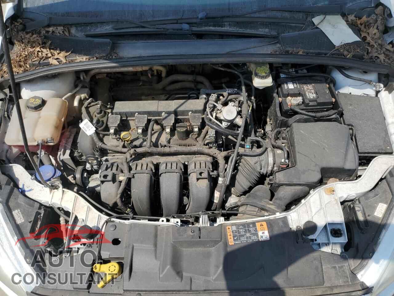 FORD FOCUS 2017 - 1FADP3K28HL207989