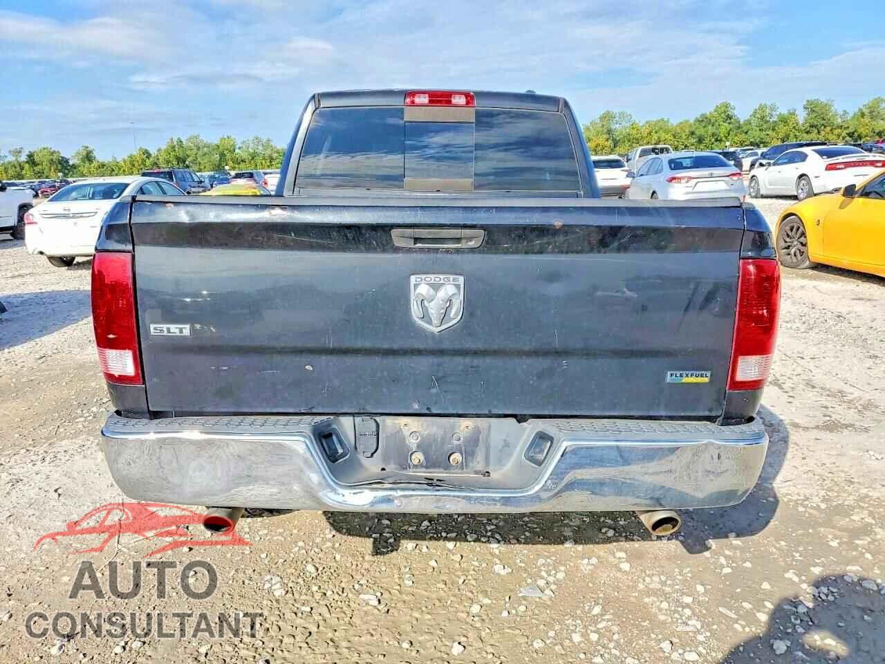 DODGE RAM 1500 2010 - 1D7RB1GP8AS231265