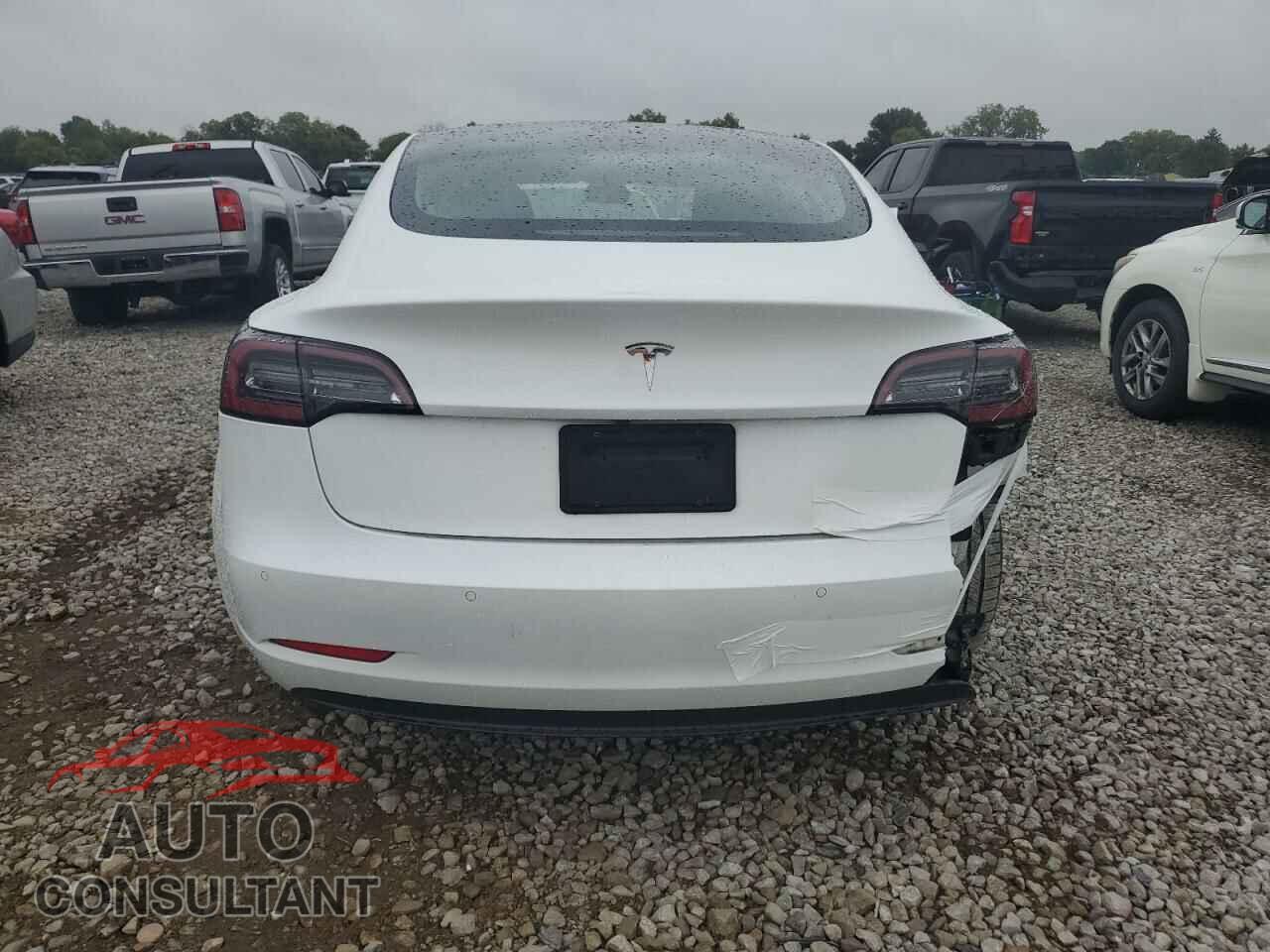 TESLA MODEL 3 2019 - 5YJ3E1EA6KF412224