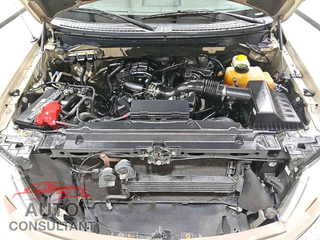 FORD F150 2014 - 1FTEW1CM8EFA78121