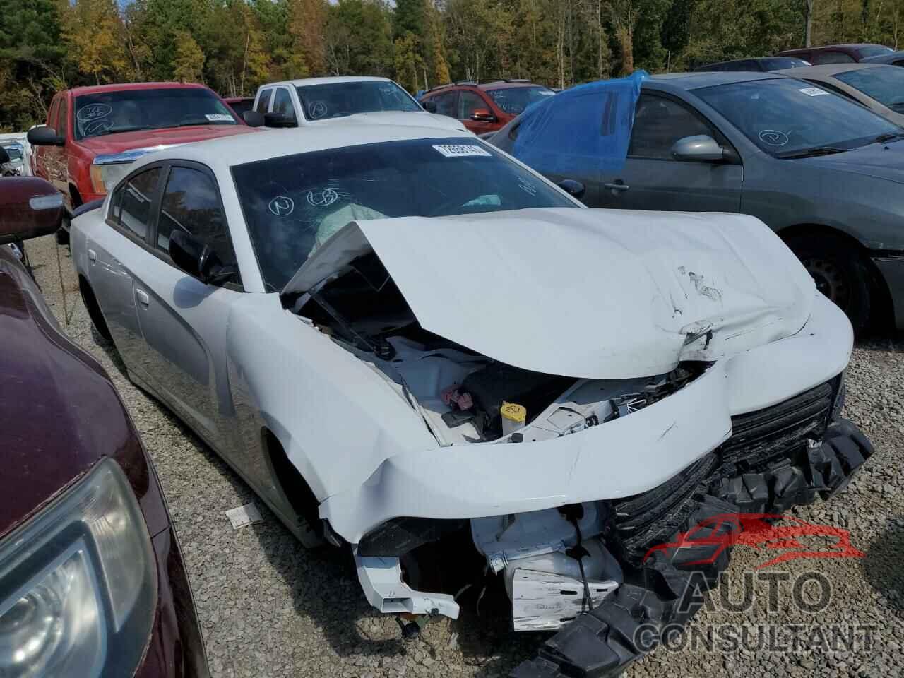 DODGE CHARGER 2020 - 2C3CDXBG2LH207983