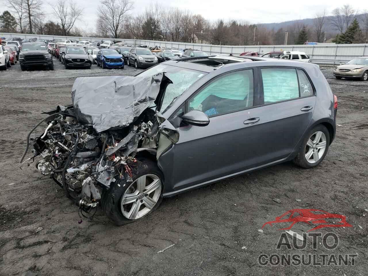 VOLKSWAGEN GOLF 2017 - 3VW117AU7HM030646