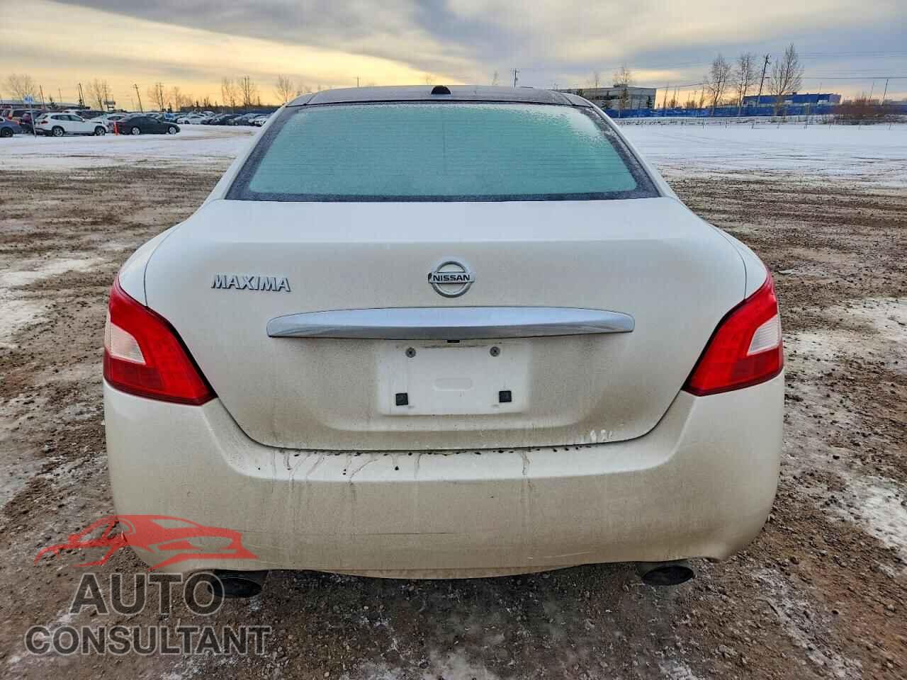 NISSAN MAXIMA 2009 - 1N4AA51E09C858904