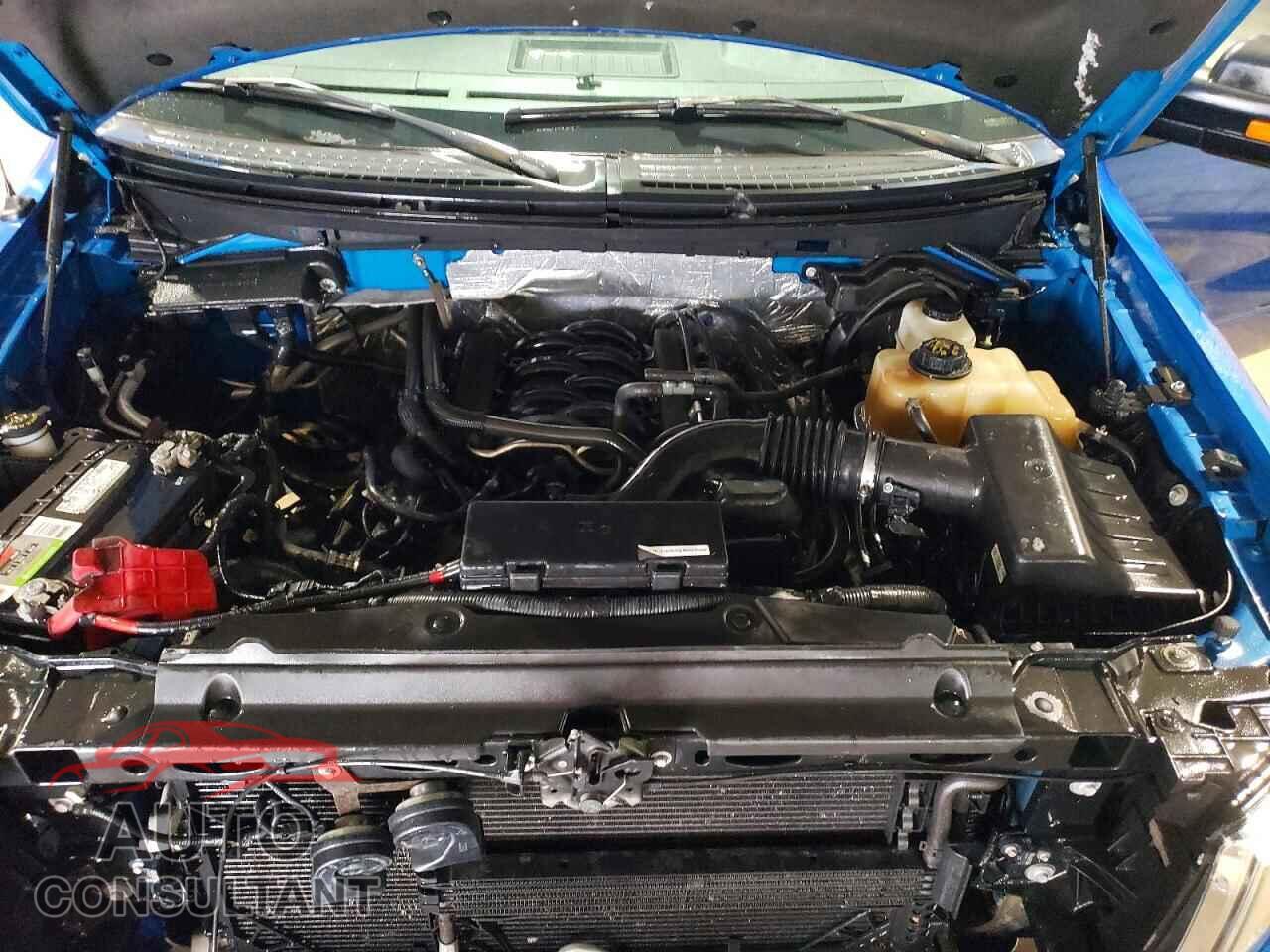 FORD F-150 2012 - 1FTFX1EFXCFC47116