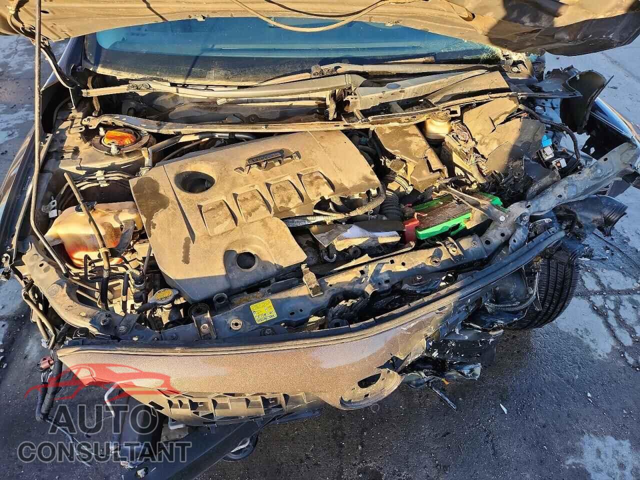 TOYOTA COROLLA 2011 - 2T1BU4EE0BC550204