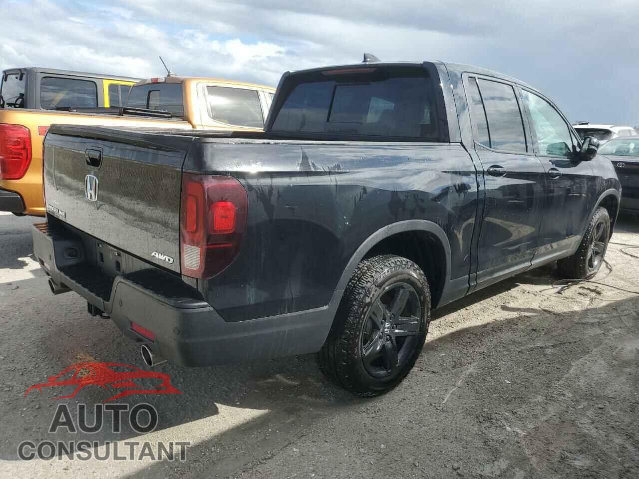HONDA RIDGELINE 2023 - 5FPYK3F81PB016710