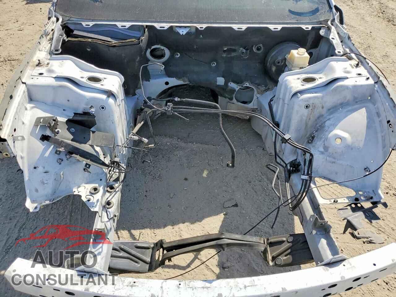 DODGE CHARGER 2019 - 2C3CDXGJ9KH619482