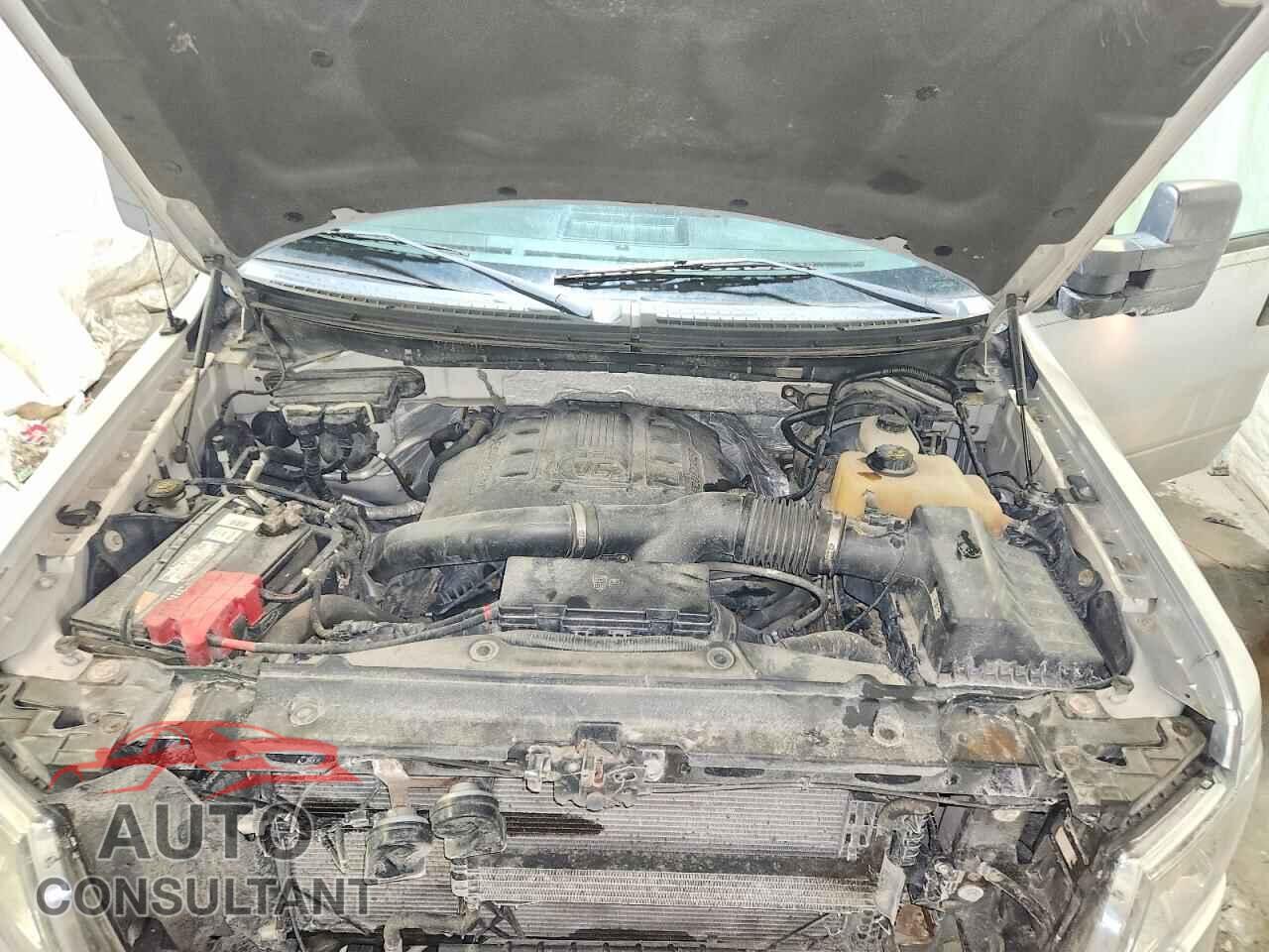 FORD F-150 2012 - 1FTVX1ET2CKD67775