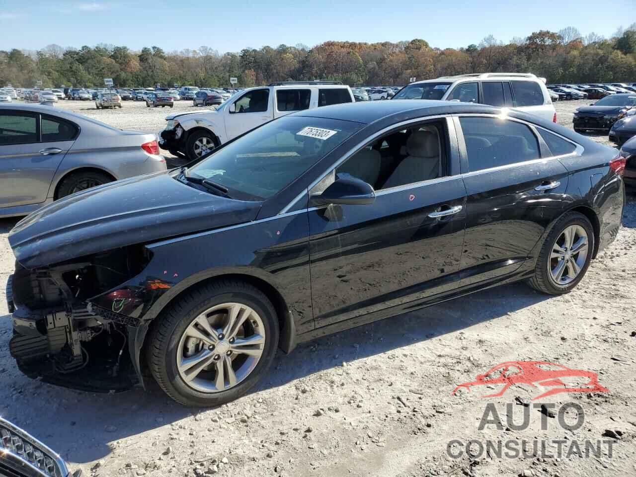 HYUNDAI SONATA 2019 - 5NPE34AF7KH747964