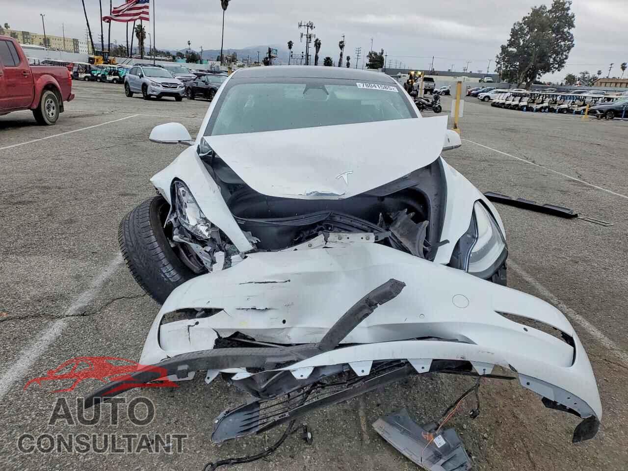 TESLA MODEL 3 2019 - 5YJ3E1EA0KF310577
