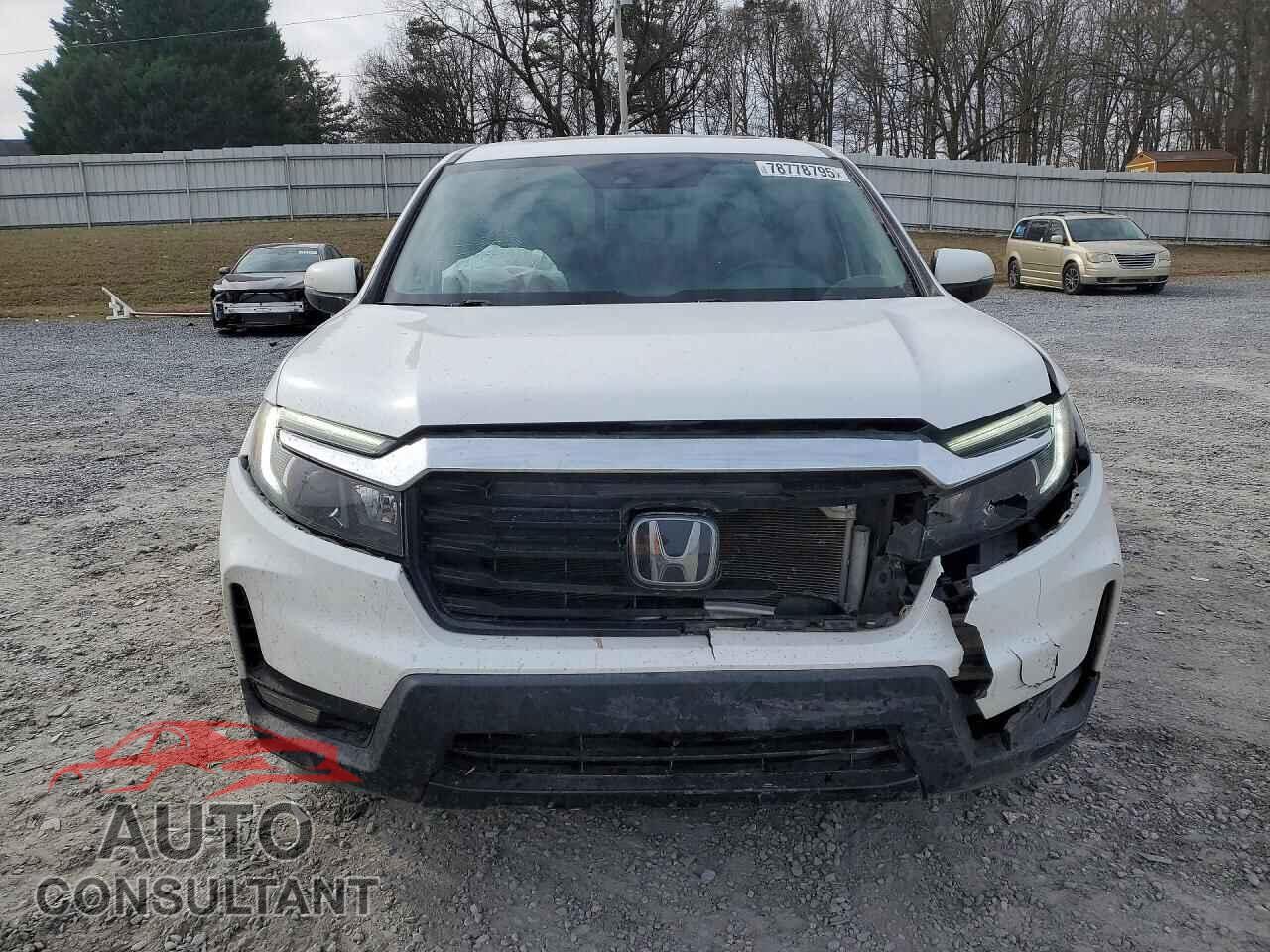 HONDA RIDGELINE 2021 - 5FPYK3F77MB008629