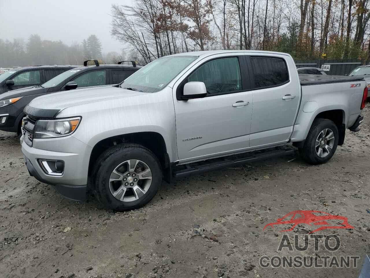 CHEVROLET COLORADO 2019 - 1GCGTDEN8K1243389