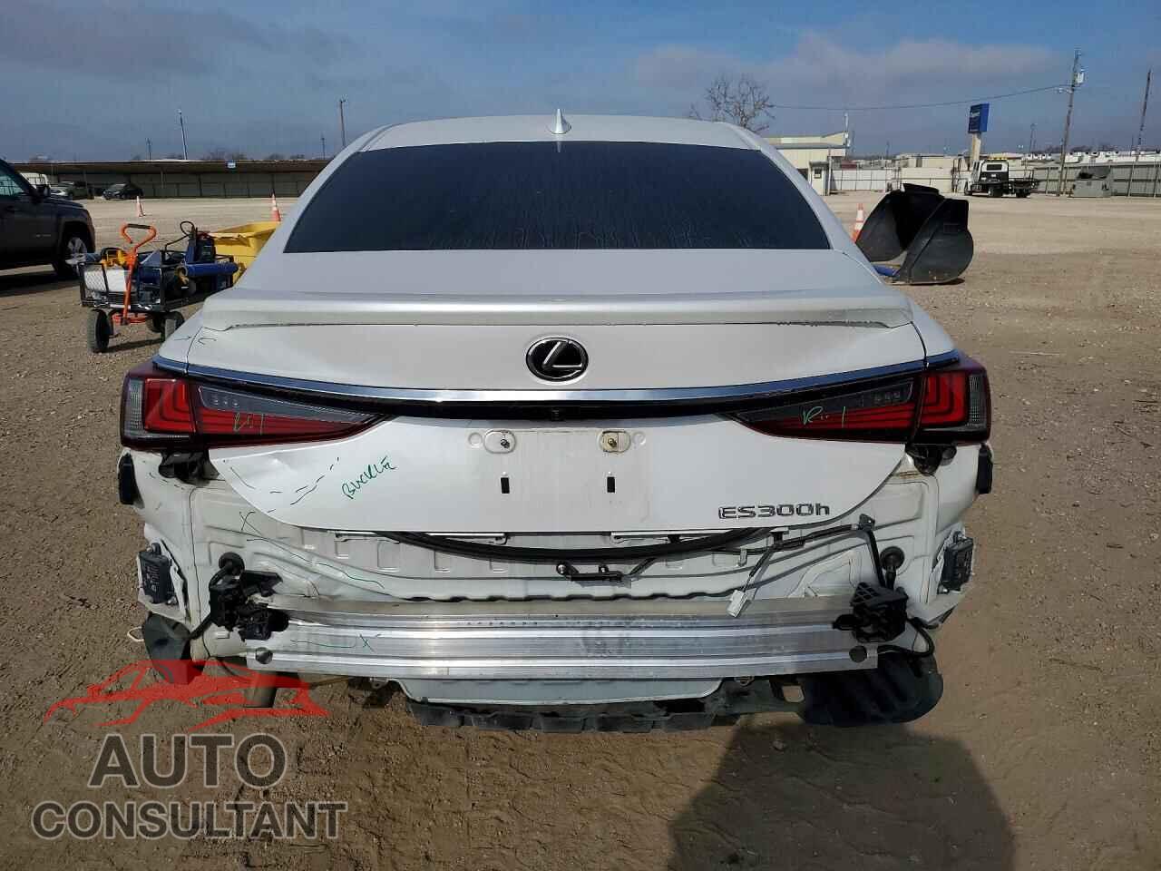 LEXUS ES300 2024 - 58AFA1C19RU038970