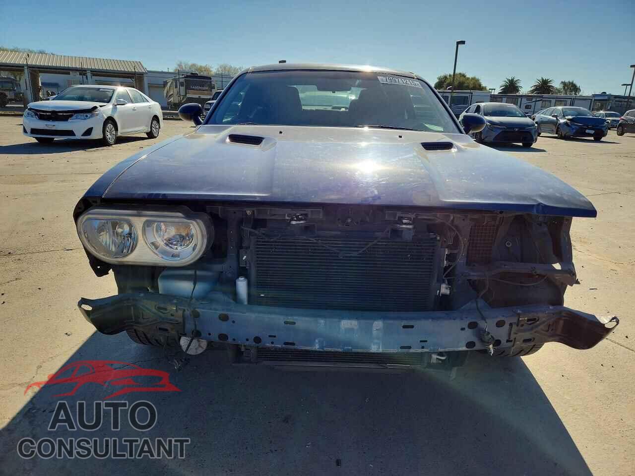 DODGE CHALLENGER 2013 - 2C3CDYAG3DH691963