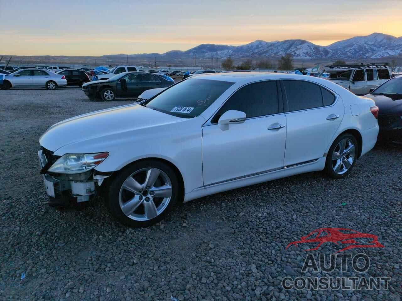 LEXUS LS460 2010 - JTHBL5EF5A5098519