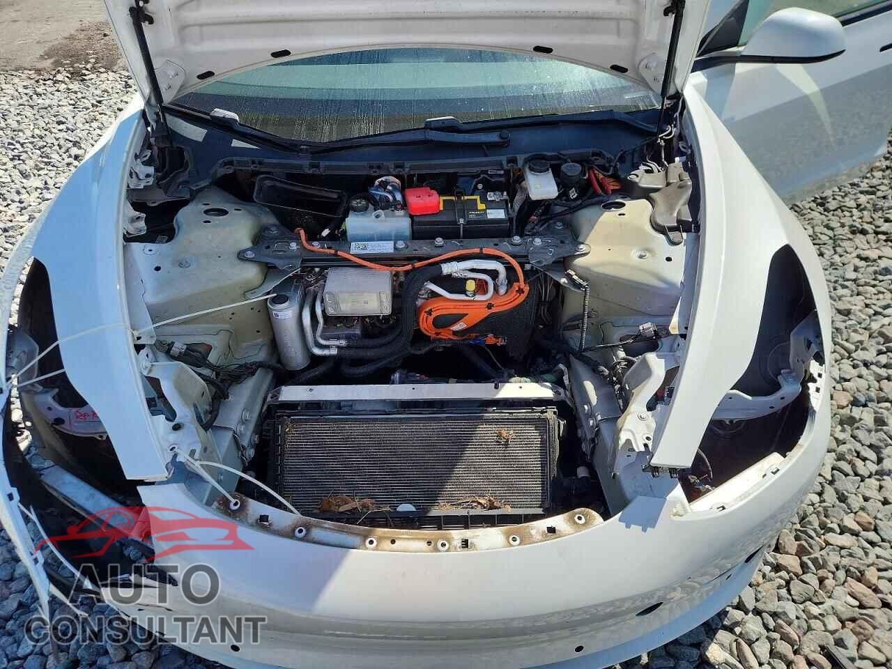 TESLA MODEL 3 2021 - 5YJ3E1EA0MF859876