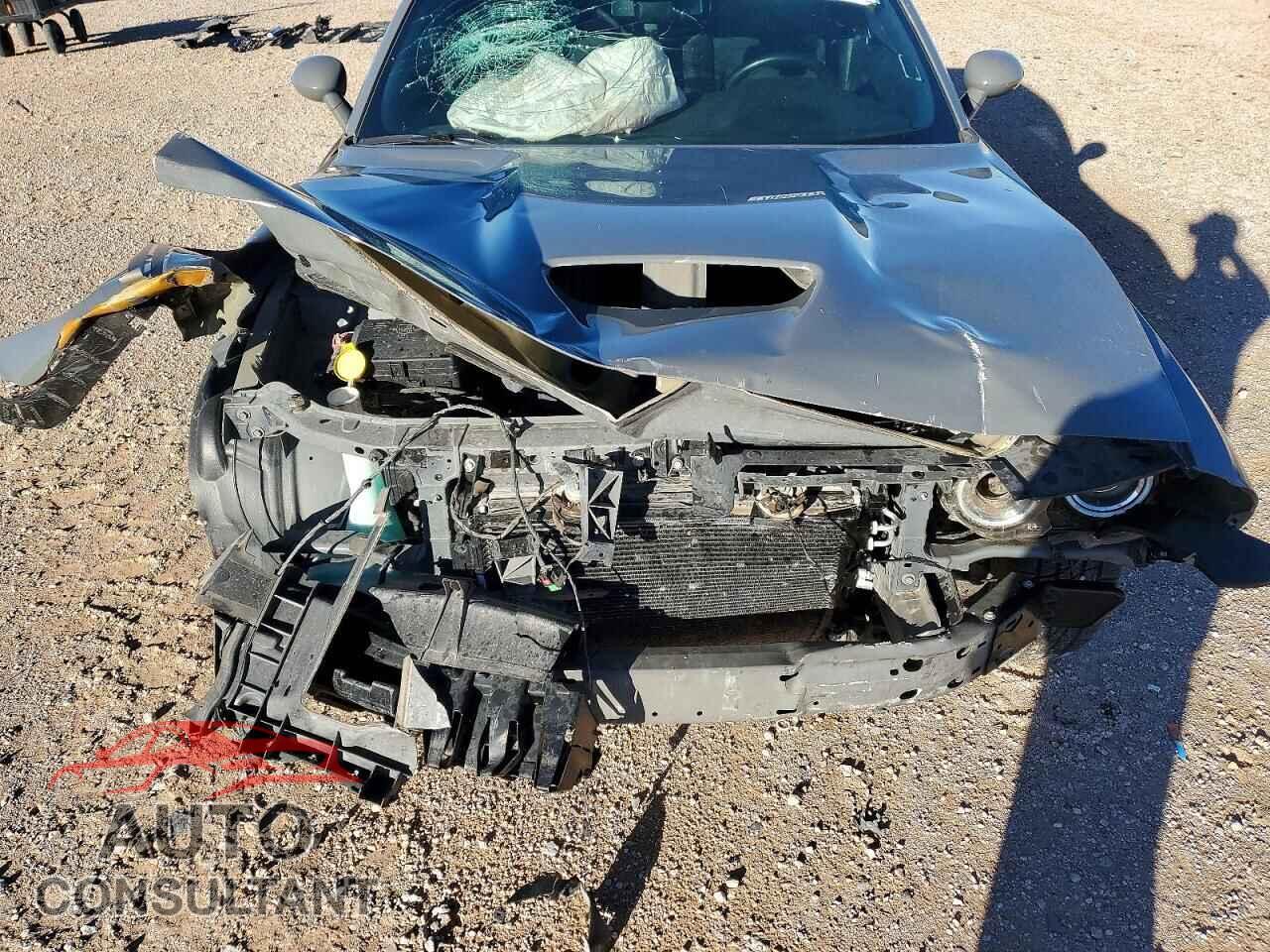 DODGE CHALLENGER 2019 - 2C3CDZBT6KH556961