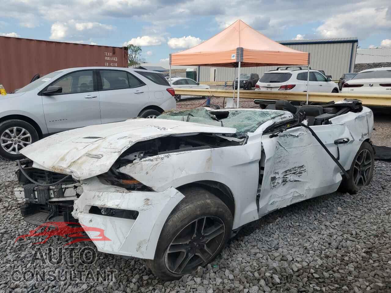 FORD ALL Models 2021 - 1FATP8UH3M5116069