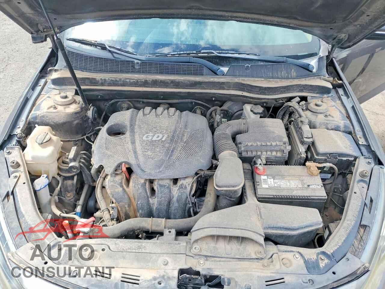 KIA OPTIMA 2013 - 5XXGM4A71DG096750