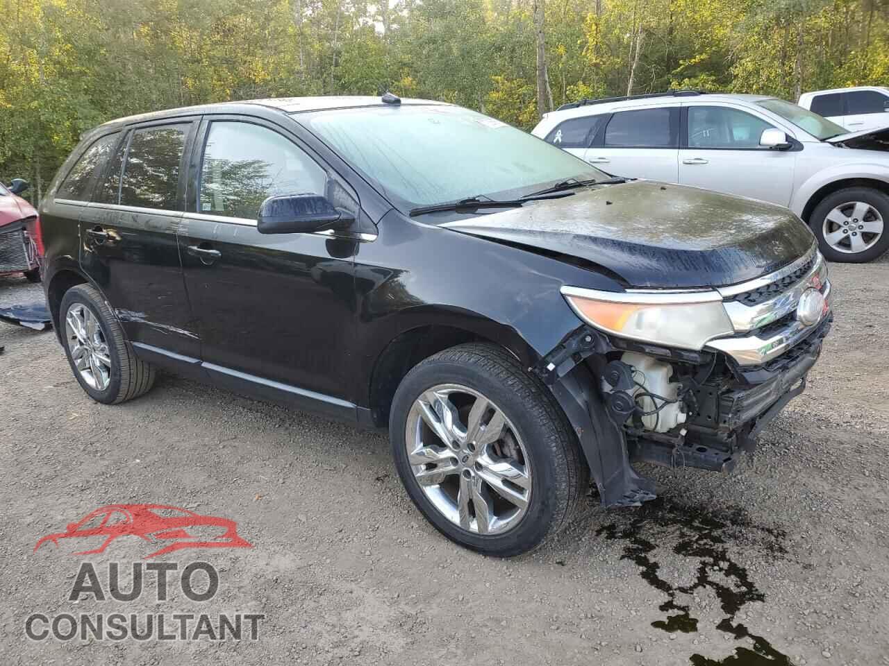 FORD EDGE 2011 - 2FMDK4KC7BBB48945