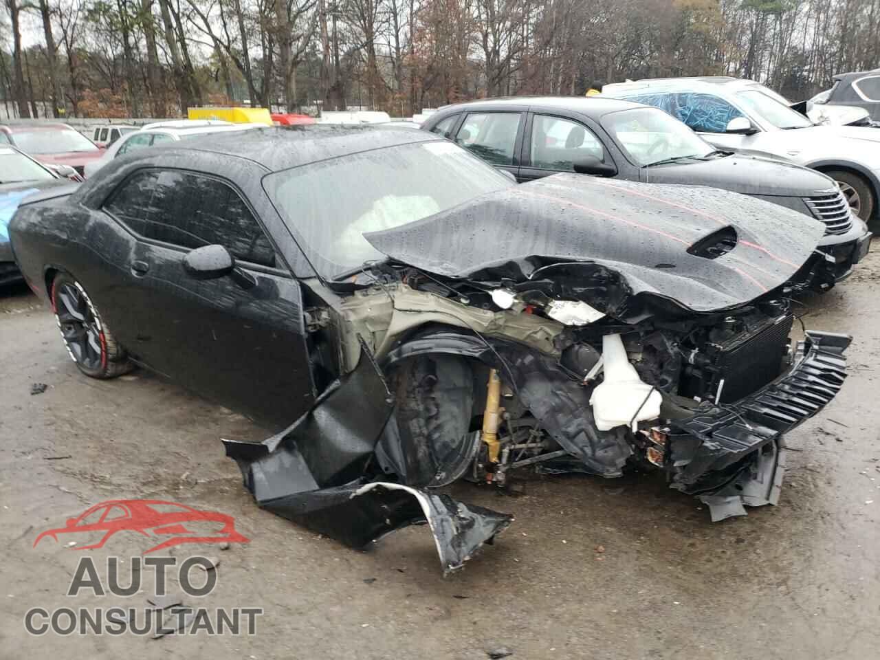 DODGE CHALLENGER 2019 - 2C3CDZBT2KH587351