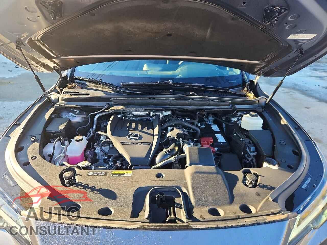 LEXUS RX350 2023 - 2T2BAMCA2PC028363