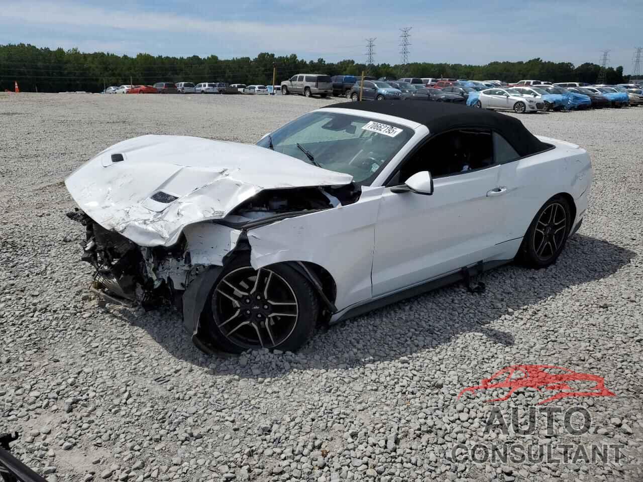 FORD ALL Models 2021 - 1FATP8UH5M5113402