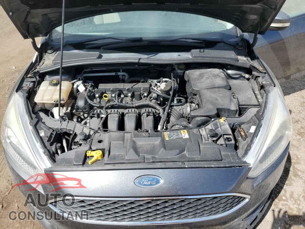 FORD FOCUS 2016 - 1FADP3K25GL213473