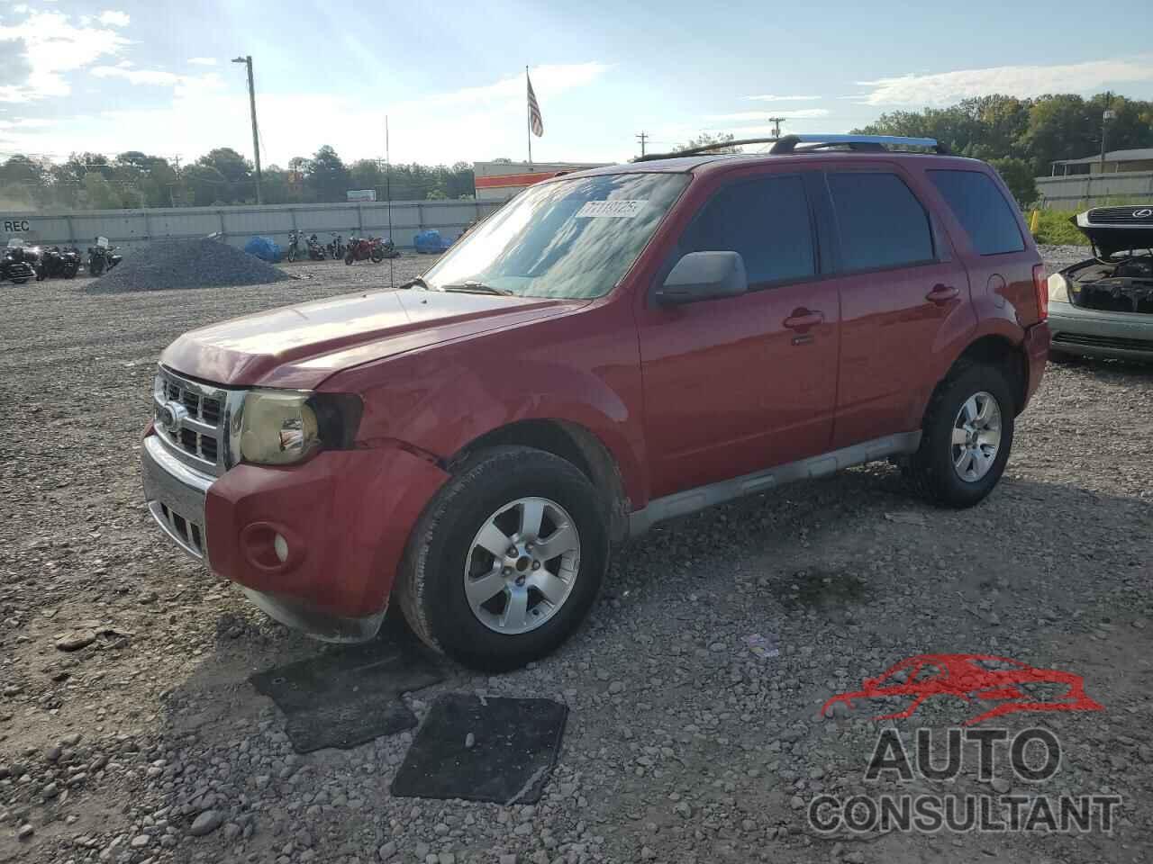 FORD ESCAPE 2010 - 1FMCU0EGXAKB77549