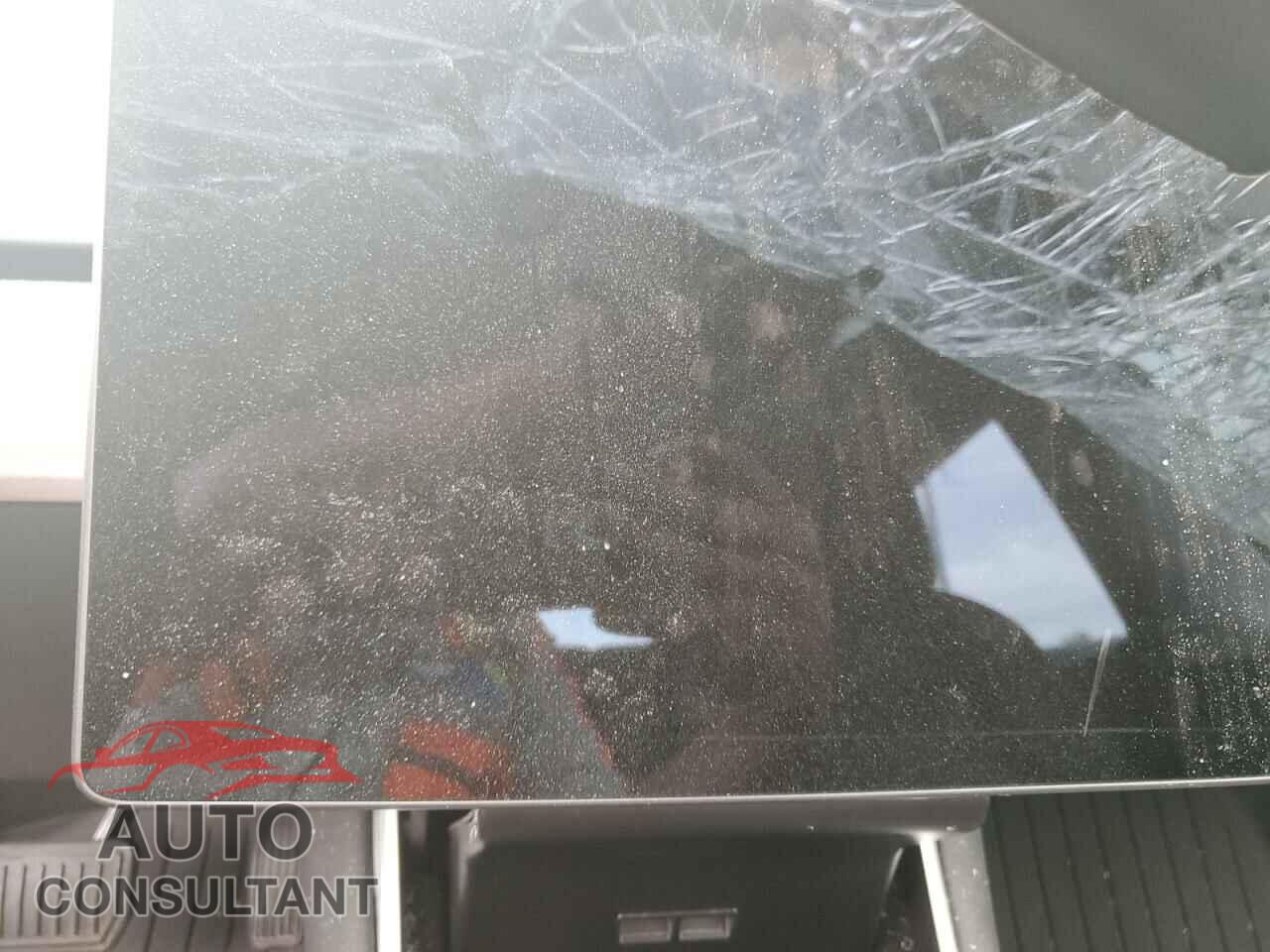 TESLA MODEL 3 2019 - 5YJ3E1EB5KF205736